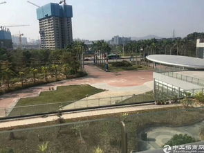 學校 深圳稀缺項目面積31800平廠房出租