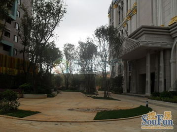 新亞100 真房源,南亞未來城精裝修,采光戶型一流,價格便宜 房產(chǎn)頻道 云南信息網(wǎng)