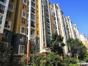 政事兒 落馬副省長的三套房